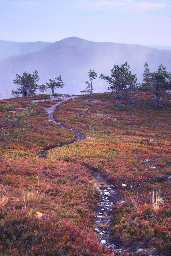 Villa Vuossel Ruka Exteriör bild