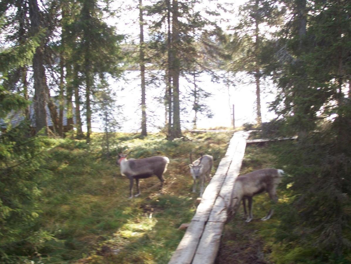 Villa Vuossel Ruka Exteriör bild